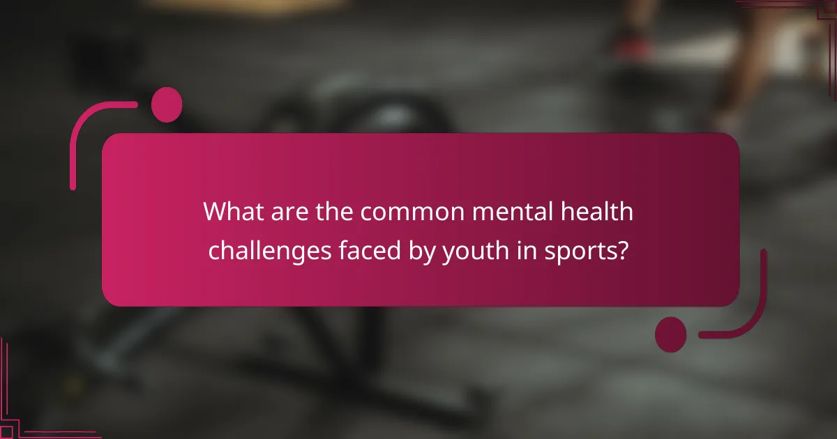 What are the common mental health challenges faced by youth in sports?