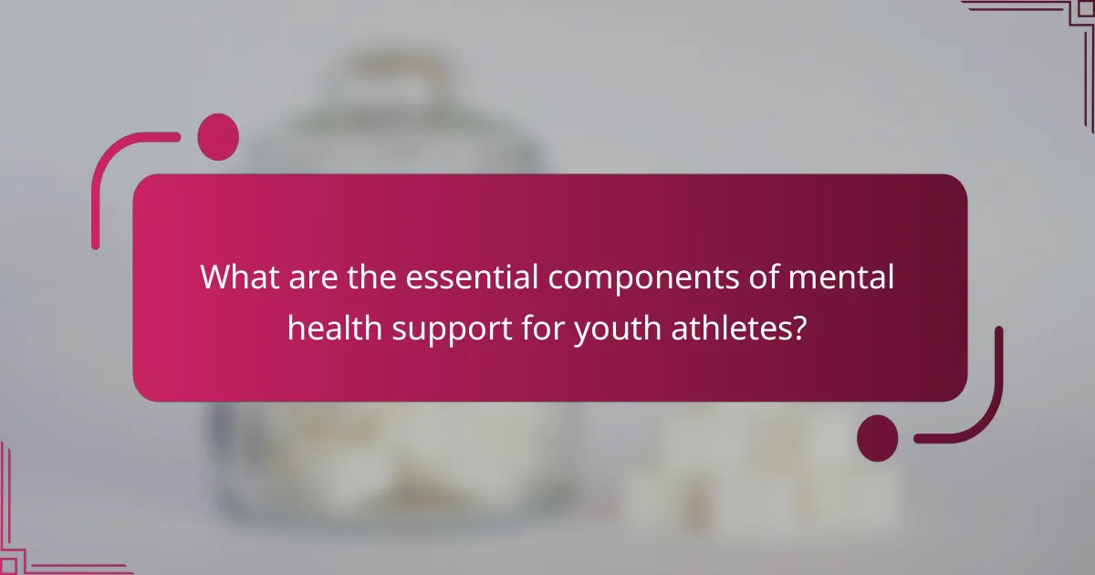 What are the essential components of mental health support for youth athletes?