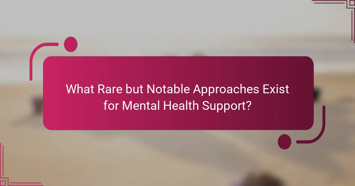 What Rare but Notable Approaches Exist for Mental Health Support?