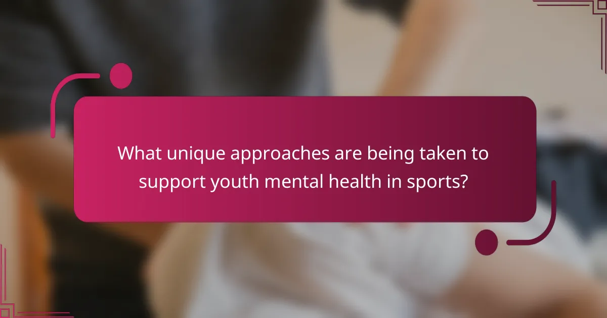 What unique approaches are being taken to support youth mental health in sports?